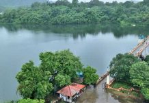 പീച്ചി, ചിമ്മിനി ഡാമുകൾ തുറക്കാൻ അനുമതി