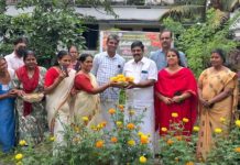 ചെണ്ട് മല്ലി കൃഷിയിൽ വിജയഗാഥ തുടർന്ന് ഗുരുവായൂർ നഗരസഭ